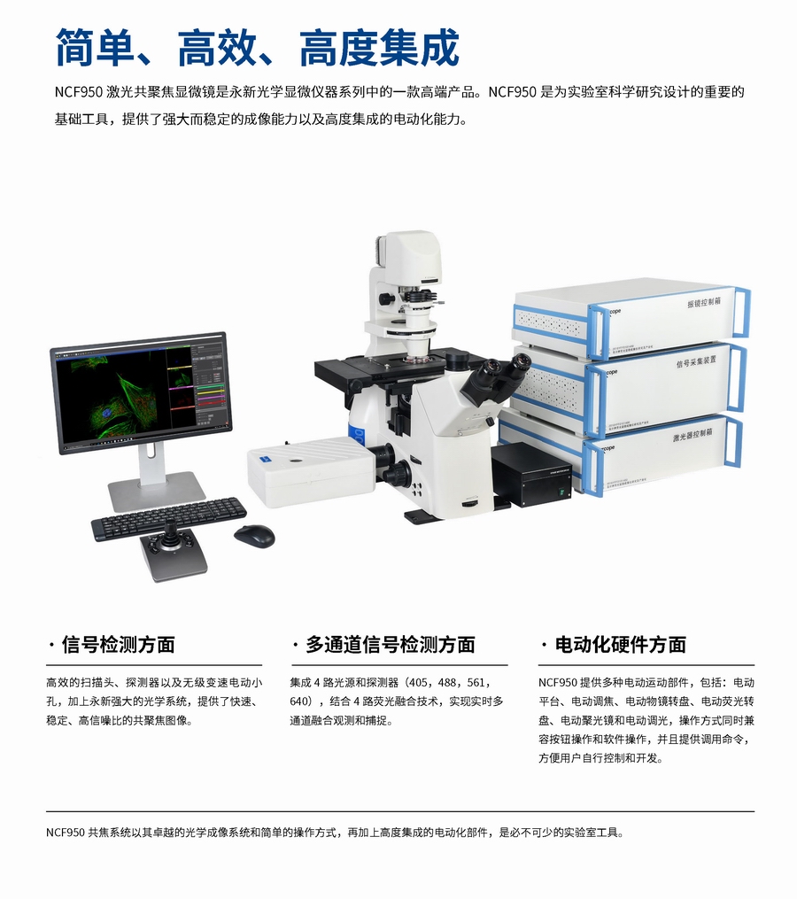 1_NCF950激光共聚焦電子樣本_頁(yè)面_2.jpg